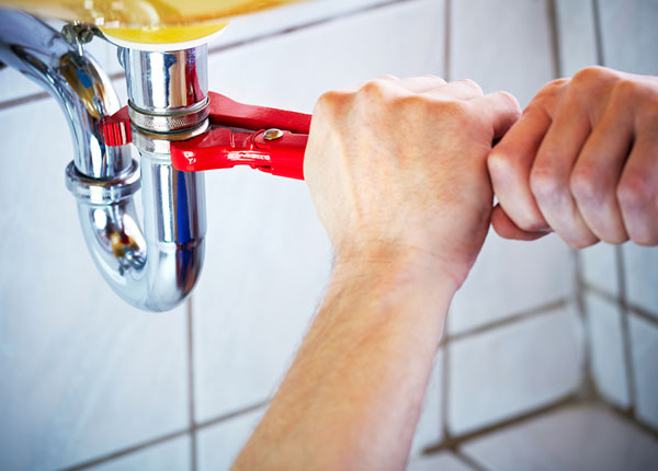 About Immaculata Plumbers